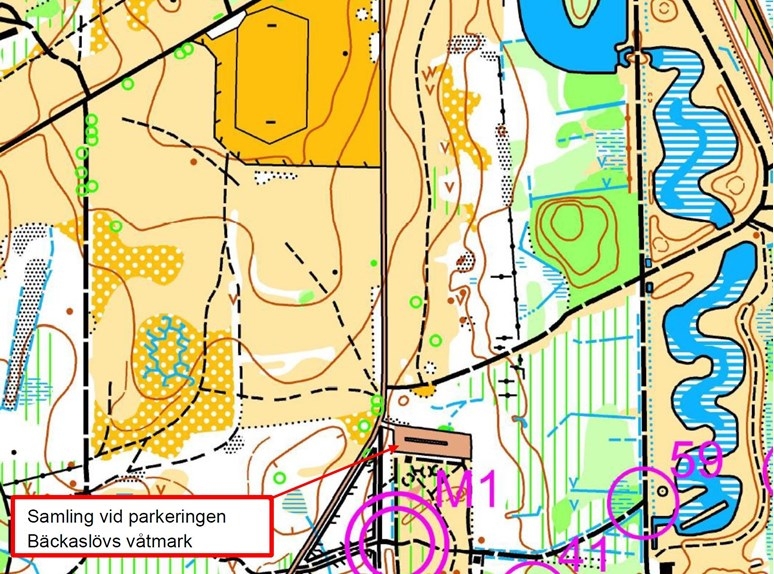 image: Träning i Bokhultet Växjö